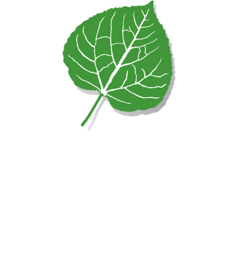 Lewis Wealth Management