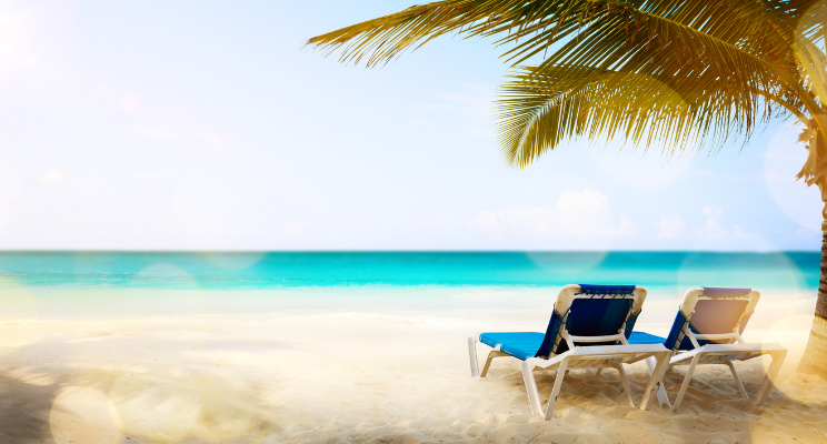 Beach view with two reclining chairs under a palm tree.
